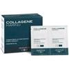 PRINCIPIUM COLLAGENE MARINO 20 BUSTINE
