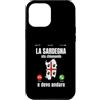 SARDEGNA Custodia per iPhone 12 Pro Max la Sardegna sta chiamando regalo Divertente Sardo Regione
