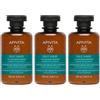 Apivita Oily Hair Shampoo Sebo-regolatore per Capelli Grassi con Menta Piperita e Propoli 3x250 ml
