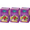 Viropa Infuso alla Frutta 10 Vitamine Lampone di Bosco Bustine 3x15 pz filtro