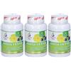 Colours Of Life Optima Colours of Life OMEGA 396 VEG 3x60 pz Capsule morbide
