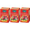 Viropa Infuso alla Frutta 10 Vitamine Fragola del Bosco Bustine 3x15 pz filtro