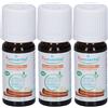 Puressentiel® Cannella Ceylon Bio Olio Essenziale 3x5 ml essenziale