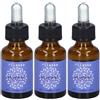 Etereal Rilassa 3x15 ml