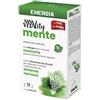 Sanavitality Energia Mente Stick Pack 5x1 St