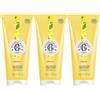 Roger & Gallet ROGER&GALLET Cedrat - Gel Doccia Di Benessere 3x200 ml
