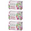 L'Angelica Tisana Drena Detox Filtri 3x1 St