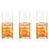 WELEDA 24h Deo Roll-On Olivello Spinoso 3x50 ml