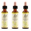 Schwabe Pharma Italia Schwabe Pharma Fiori di Bach Mustard 3x20 ml Gocce orali