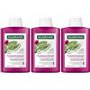 Klorane Shampoo idratante e illuminante al Fico d'India 200ml - Capelli disidratati, idratazione 3x200 ml