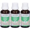 Herbalgem Ginko Biloba Giovani Foglie Concentrato di Gemme Fresche Gocce 3x30 ml Soluzione orale