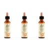 Schwabe Pharma Italia Schwabe Pharma Cherry Plum Bach Orig 3x20 ml Gocce orali