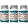 Erba Vita Crisantello Americano Capsule 3x30 g