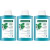 Klorane Shampoo alla Menta Acquatica BIO 200ml - Detox, capelli purificati 3x200 ml