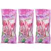 Uragme Satinex3 Plus Lady Rasoi 3x6 St