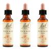 Schwabe Pharma Italia Schwabe Pharma Rock Rose Bach Orig 3x20 ml Gocce orali
