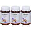 arkofarm Arkopharma Arkocapsule Zenzero 3x19 g Capsule