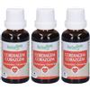Herbalgem Cordiagem Circolazione Concentrato di Gemme Fresche Gocce 3x30 ml Soluzione orale