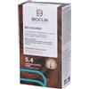 BIOCLIN Bio-Colorist 5.4 Castano Rame 4x1 St