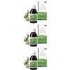 Pranarom Aromaforce Sciroppo Vie Respiratorie 3x150 ml