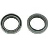 Athena P40FORK455107 Serie Paraolio Forcella