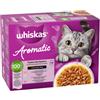 Whiskas 1+ Aromatic Fragranti Fusioni in salsa cibo umido per gatti multipack (bustine 85 g) 4 confezioni (48 x 85 g)