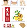 LEEOYINK Cerotti allo zenzero per sollievo muscolare e articolare, terapia termica naturale per schiena, collo e dolori articolari, di lunga durata, facili da usare, 6 scatole da 120 cerotti per un comfort