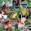 the Irradiates The Revenge Of The Plants (Vinyl LP)