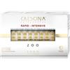 Labo international srl CRESCINA RAP-IN RI-C 200 D 20F