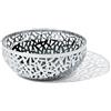 ALESSI FRUTTIERA Cactus Inox MSA04/29
