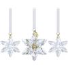 SWAROVSKI SET STELLA CRY 3D 2024 ANNUAL EDITION