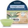 YANKEE CANDLE CERA DA FONDERE Sage e Citrus 22g