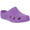 PETER LEGWOOD BULL VIOLA