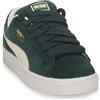 PUMA 21 SUEDE XL