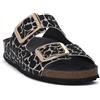 GRUNLAND NERO MULTI 40ENNY