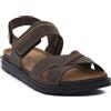 LUMBERJACK 055 DARK BROWN