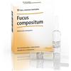 Guna Heel Fucus Compositum Medicinale Omeopatico Soluzione Iniettabile, 10 fiale