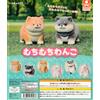 Muchimuchi Wanko Chubby Shiba Inu Dog Figure set completo 6 capsule giocattol...