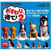 Osuwari Mate 2 Sitting Dog Figure set completo 6 capsule giocattolo NUOVO