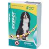 Exspot 715 Mg/Ml Soluzione Per Spot On Cani 6x2 ml Pipette monodose