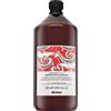 Davines NaturalTech Energizante Shampoo per capelli, 1000ml