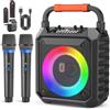 OEM Altoparlanti Bluetooth portatili per feste con microfoni wireless portatili