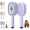 Generico Electric Spray Air Cushion Massage Comb,Pettine Elettrico Per Massaggio Con Cuscinetti Ad Aria,Ricaricabile Spazzola Per Oli Essenziali A Vapore (Purple)