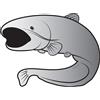 Delphin Adesivo siluro SILVER