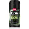 Axe Pear & Cedarwood Pear & Cedarwood 100 ml