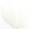 Pmnzdy Piume di struzzo 10 PZ 20-25 cm Piume di struzzo colorate Plume Piume naturali per bricolage Decorazione fai da te Piume di struzzo per casa Matrimonio Festa Tavolo da pranzo Carnevale
