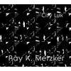 ACC Art Books Ray K. Metzker: City Lux