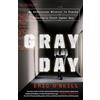 CROWN Gray Day: My Undercover Mission to Expose America's First Cyber Spy