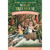 Random House Books for Young Readers Afternoon on the Amazon: 6