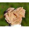 Gesso Var. Rosa Del Deserto 44 Grammi - Douz, Kebili, Tunisia